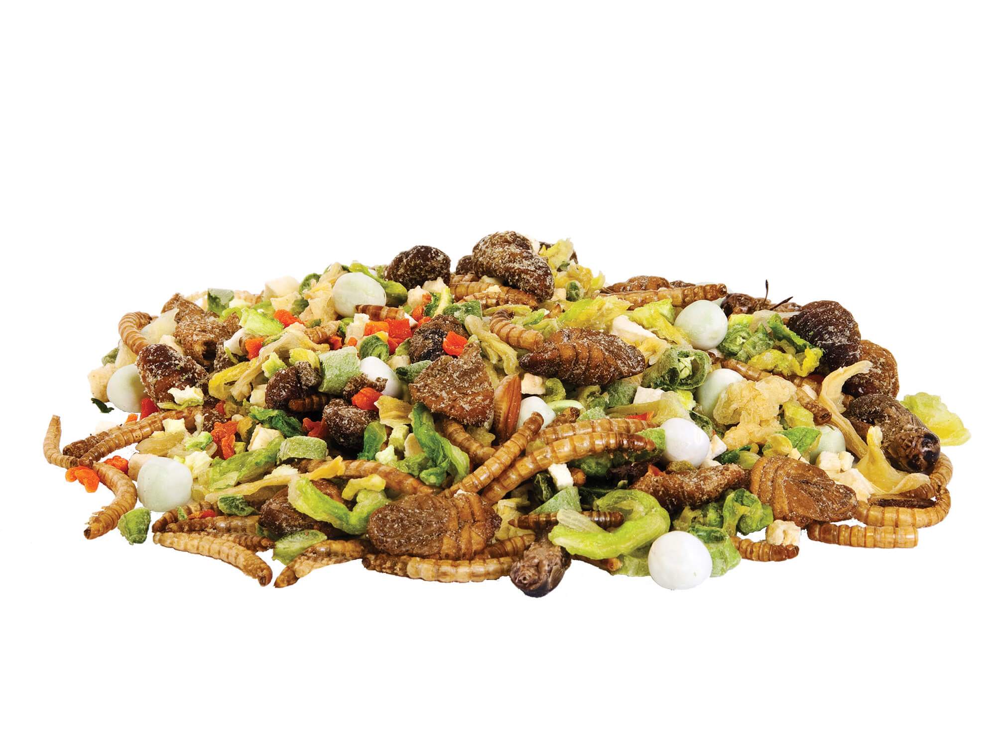 pile of dehydrated vegetables and bugs