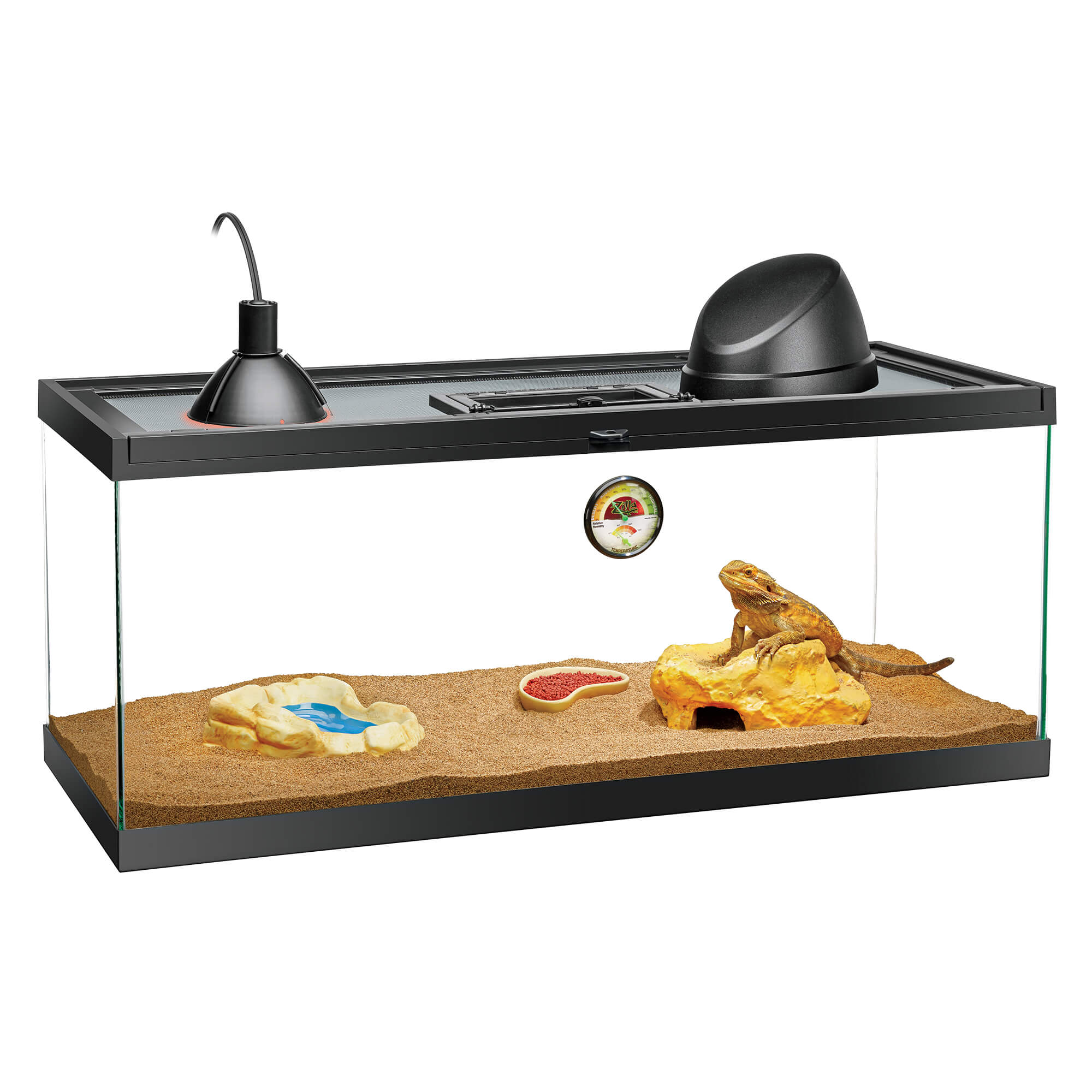 Zilla 40 BR Bearded Dragon terrarium setup with lizard